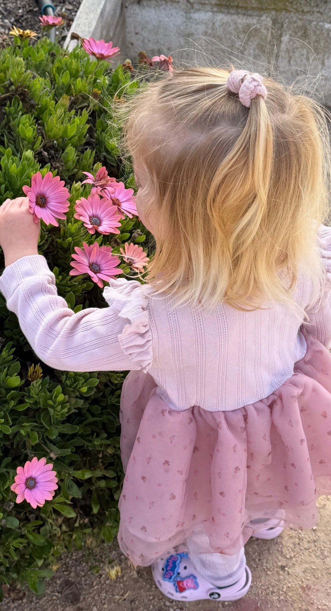 Photo of The Thompson Family